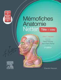 Mémo-fiches : anatomie Netter - tête et cou (5e édition)