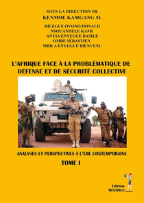 L'Afrique face à la problématique de défense et de sécurite collective Tome 1 : analyses et perspectives à l'ère contemporaine