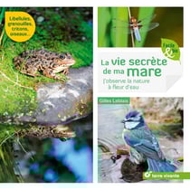 La vie secrète de ma mare - j'observe la nature à fleur d'eau