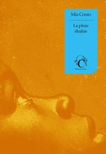 La pluie ébahie