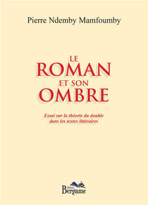 Le roman et son ombre