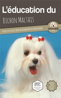 L'éducation du Bichon Maltais : toutes les astuces pour un Bichon Maltais bien éduqué