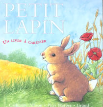 Petit lapin