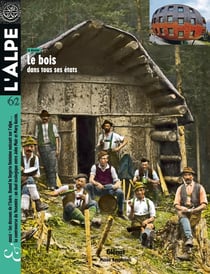 L'Alpe n.62 : le bois dans tous ses états