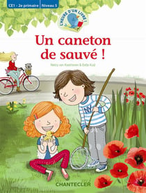 L'HEURE D'UN LIVRE ! : un caneton sauvé ! - CE1 - niveau 5
