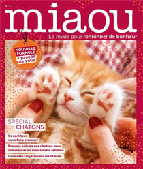Miaou n.11 : spécial chatons