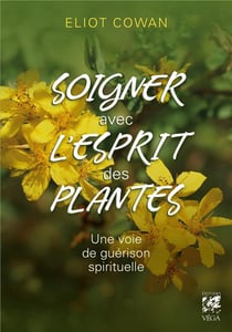 Soigner avec l'esprit des plantes - une voie de guérison spirituelle
