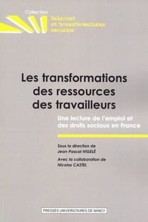 Les transformations des ressources des travailleurs - une lecture de l 'emploi et des droits sociaux en France