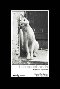 Les vagabonds - portraits de chats