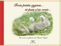 Trois petits cygnes et puis s'en vont