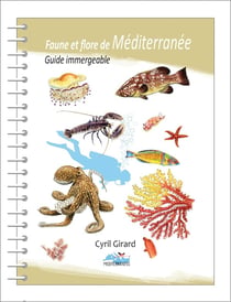 Faune et flore de Méditerranée