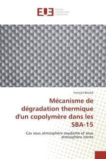 Mécanisme de dégradation thermique d'un copolymère dans les SBA-15 - cas sous atmosphère oxydante et sous atmosphère inerte