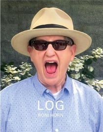 Roni Horn : log