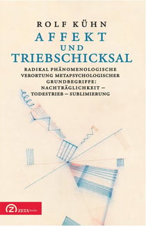 Affekt und Triebschicksal : Radikal phänomenologische Verortung metapsychologischer Grundbegriffe: Nachträglichkeit - Todestrieb - Sublimierung