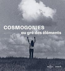Cosmogonies Au Gre Des Elements