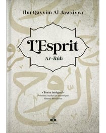 Le livre de l'esprit