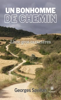 Un bonhomme de chemin - Livre gros caractères