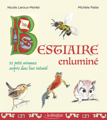 Bestiaire enluminé