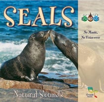 Seals