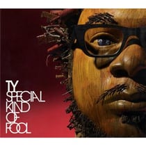 Special kind of fool