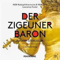Der zigeunerbaron