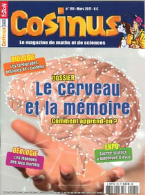 Cosinus N°191 Le Cerveau Et La Memoire Mars 2017