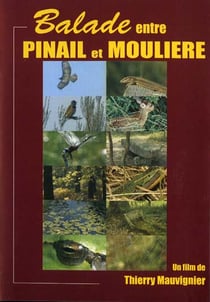 Balade entre Pinail et Moulière
