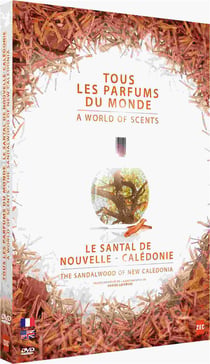 Santal de Nouvelle-Calédonie