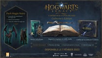 Hogwarts Legacy : L'Héritage de Poudlard - Collector's Edition
