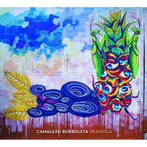 Camaleão borboleta (chameleon butterfly)