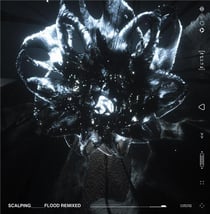 Flood remixed