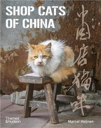 Shop cats of China