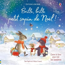 Brille, brille : brille, brille petit sapin de Noël !