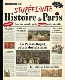 Stupéfiante Histoire de Paris