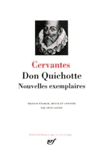 Don Quichotte - nouvelles exemplaires
