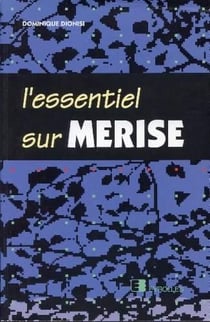 Essentiel Sur Merise