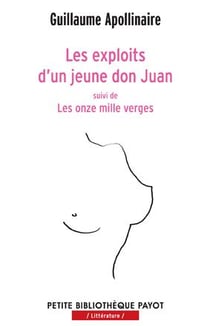 Les exploits d'un jeune don juan - les onze mille verges