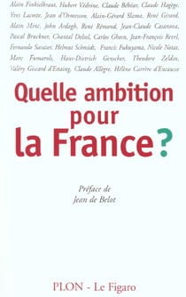 Quelle ambition pour la france