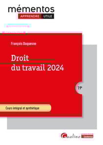 Droit du travail 2024 : Cours intégral et synthétique (19e édition)