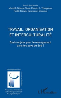 Travail, organisation et interculturalité : Quels enjeux pour le management dans les pays du Sud ?