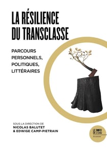 La résilence du transclasse - parcours personnels, politiques, littéraires