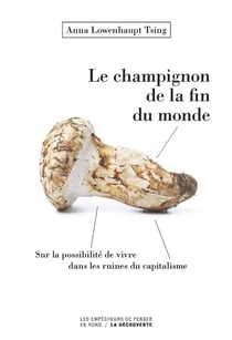 Le champignon de la fin du monde - sur la possibilité de vivre dans les ruines du capitalisme