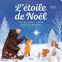 L'étoile de noël : Avec des volets à soulever jusqu'au 24 décembre