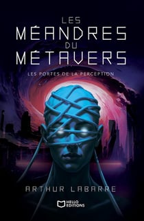 Les Méandres du Métavers Tome 1 : Les Portes de la perception