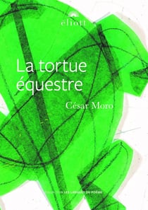 La tortue équestre