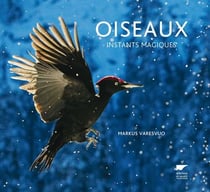 Oiseaux - instants magiques