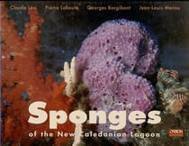 Sponges of the New Caledonian lagoon