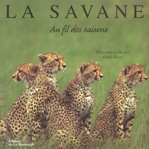 Savane au fil des saisons