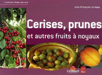 Cerises, prunes et autres fruits a noyau
