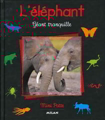 Elephant, geant tranquille (l')